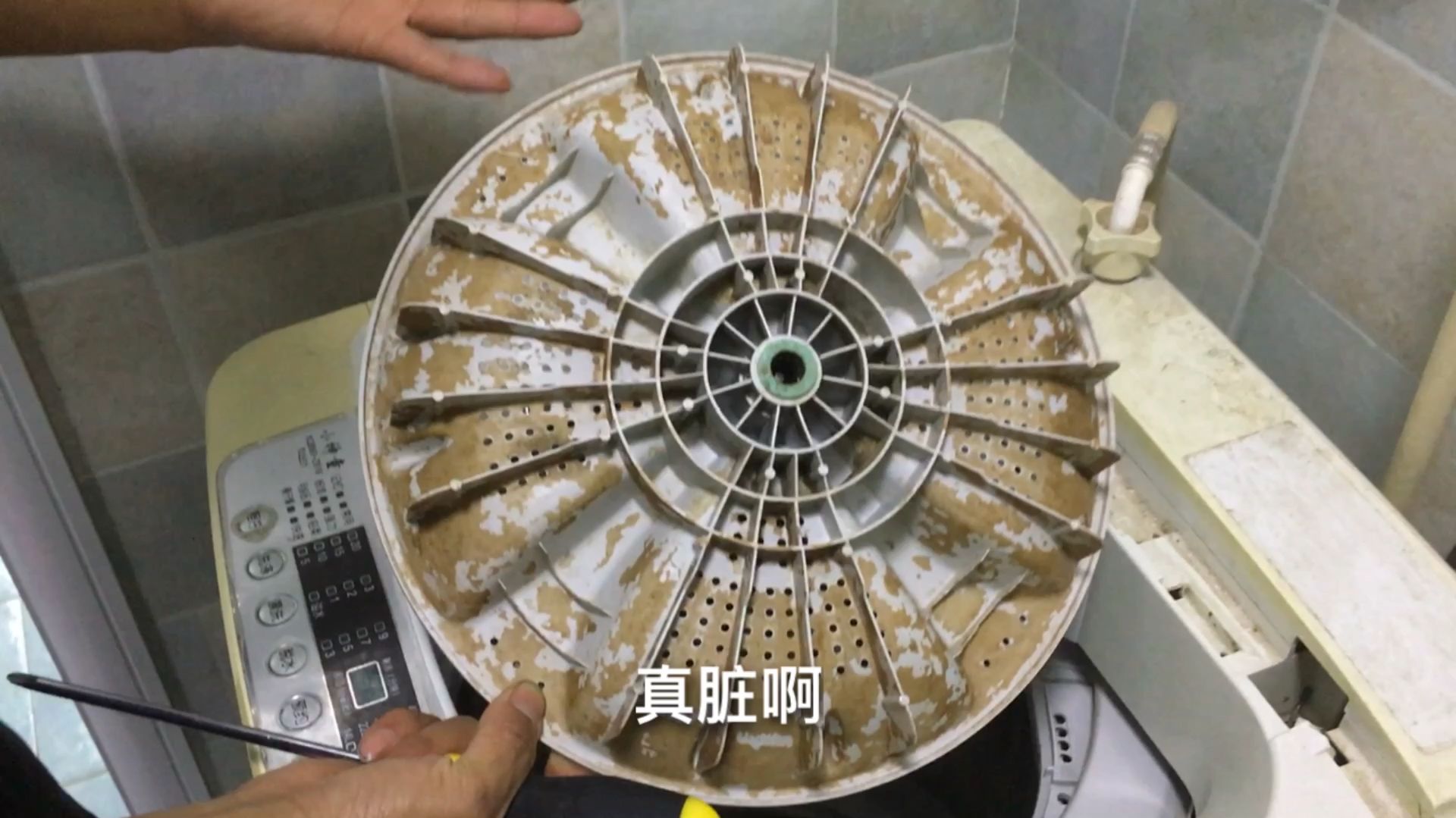 家里这些清洁工具其实比我们想象的更脏!